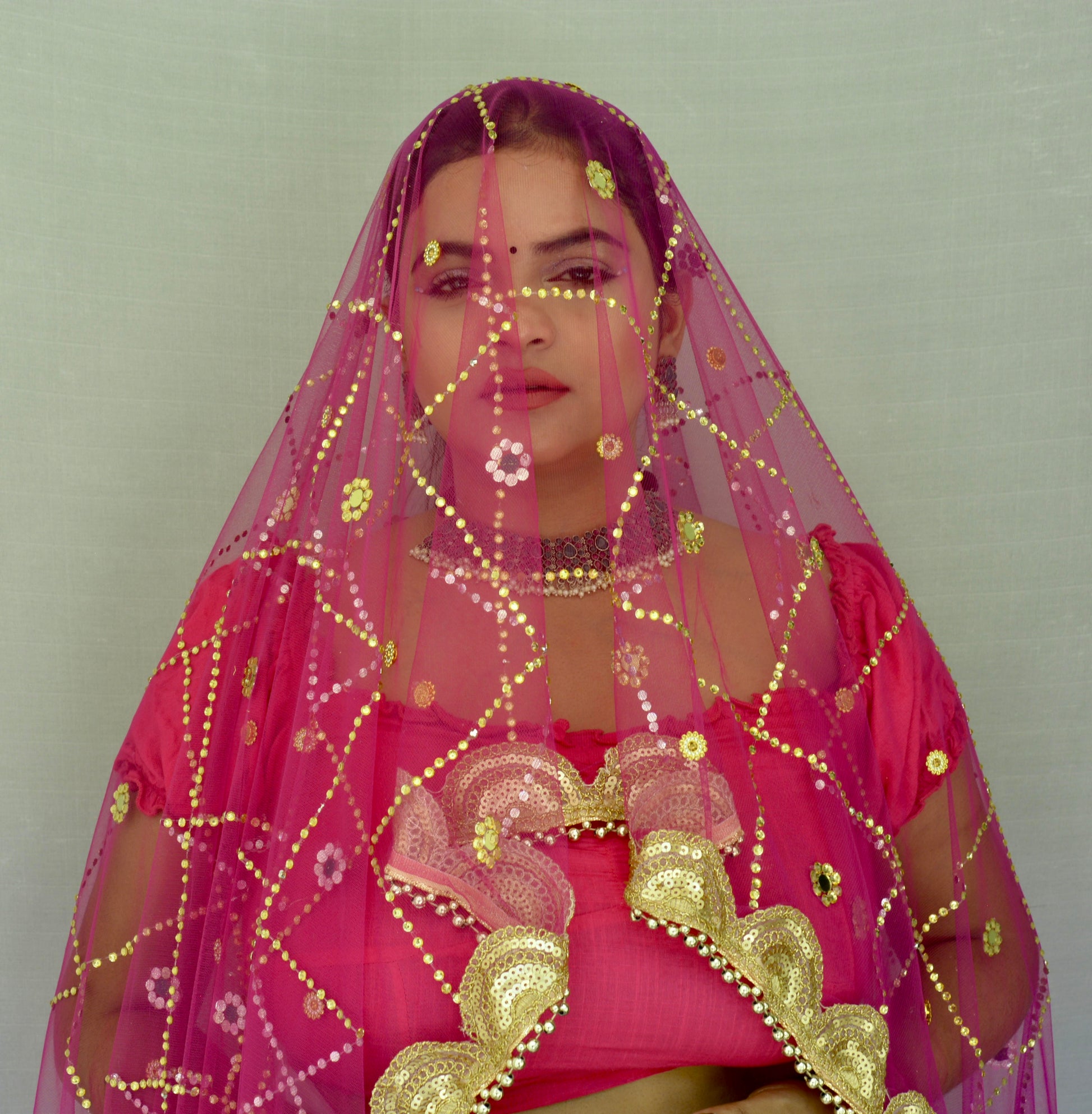 Stone work and Heavy border Pink Net Dupatta - Vaaniari