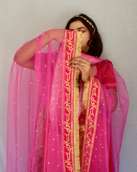 Qubool Hai Pink Net Dupatta - Vaaniari